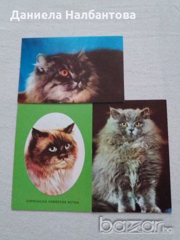 Календарчета за колекционери, снимка 6 - Филателия - 18648681