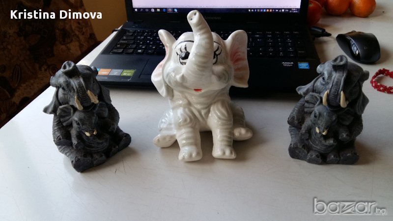 СЛОНЧЕТА - КАСИЧКИ , снимка 1