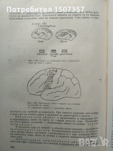 Физиология на селскостопанските животни, снимка 4 - Специализирана литература - 25223158