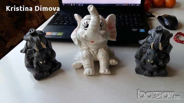 СЛОНЧЕТА - КАСИЧКИ , снимка 1