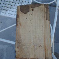 Дървено пано , снимка 2 - Колекции - 22954066