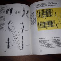 Атлас - клетка и тъкани, снимка 5 - Учебници, учебни тетрадки - 24754270