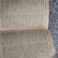Френско Български речник от 1901г. и Френска граматика от 1910г., снимка 3 - Чуждоезиково обучение, речници - 25113511