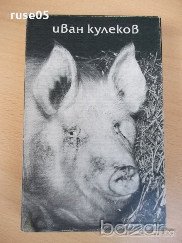 Книга "Без време. Без ред. Без адрес-Иван Кулеков"-384 стр., снимка 2 - Художествена литература - 18529034