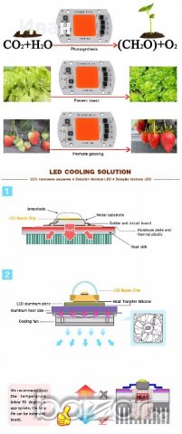 За оранжерии - LED Grow chip 50W 380-840nm, готови решения! , снимка 4 - Прожектори - 20065006