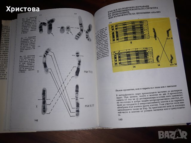 Атлас - клетка и тъкани, снимка 5 - Учебници, учебни тетрадки - 24754270