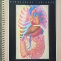 Numan Anatomy Laboratory Textbook 1993 г., снимка 1 - Специализирана литература - 25996579