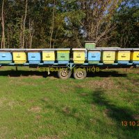 Пчеларска платформа с (ДВЕ ЛИЦА) +колесар за пчелни кошери, снимка 6 - Селскостопанска техника - 18384949