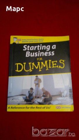 Starting a Business For Dummies Paperback – 11 Jun 2004