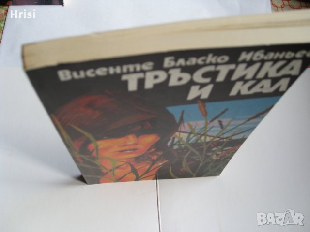 Тръстика и кал- Висенте Бласко Ибаньес, снимка 4 - Художествена литература - 23660107