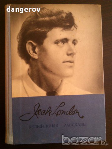 Руска литература, снимка 3 - Чуждоезиково обучение, речници - 13667079