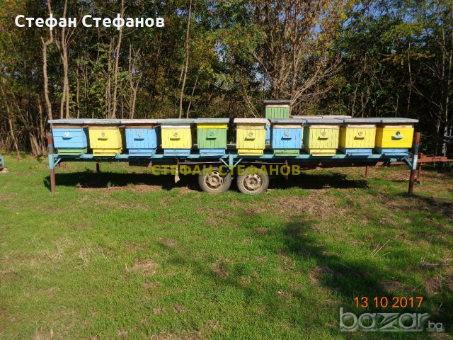 Пчеларска платформа с (ДВЕ ЛИЦА) +колесар за пчелни кошери, снимка 6 - Селскостопанска техника - 18384949