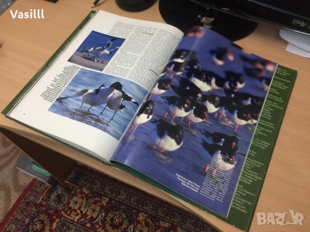 Уникална Немска Енциклопедия/ *1982г* , снимка 9 - Колекции - 23707356