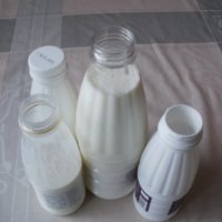 Кефир - Тибетска кефирена гъба за здравословна млечно-кисела напитка, снимка 7 - Домашни напитки - 23825756
