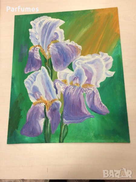 Картини ПЛАТНО 38/47 Маслени бои без рамка само за 70 лв. Ръчна изработка. , снимка 1