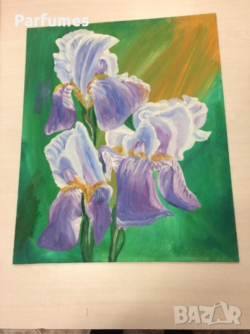 Картини ПЛАТНО 38/47 Маслени бои без рамка само за 70 лв. Ръчна изработка. , снимка 1