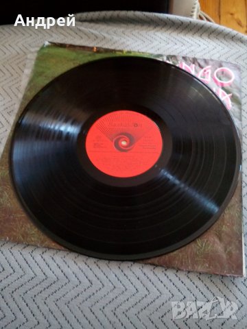 Грамофонна плоча Лили Иванова Танго, снимка 3 - Грамофонни плочи - 23883649