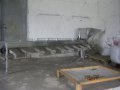 Машини за обработка на орехи, снимка 1 - Други машини и части - 14238494