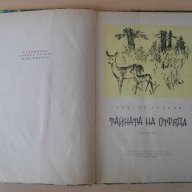 Книга "Тайната на отряда - Григор Угаров" - 128 стр., снимка 2 - Художествена литература - 15206707