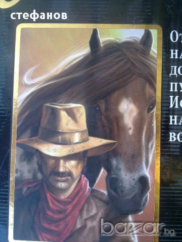 Две луксозни книги Идалго, Черната стрела - черна серия, снимка 9 - Художествена литература - 11363045