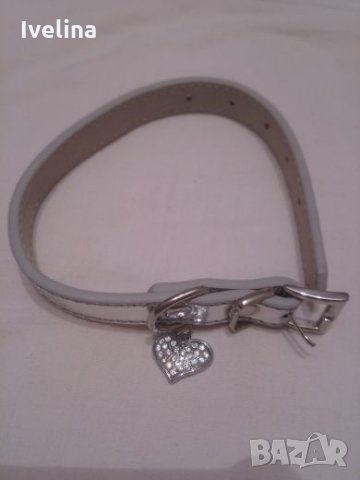 Нашийник за куче/коте, снимка 10 - За кучета - 22867940