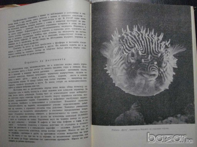 Книга "Спектър 70-С.Славчев,Е.Дочева,Н.Севданова" - 432 стр., снимка 4 - Художествена литература - 7915524
