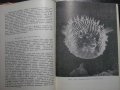 Книга "Спектър 70-С.Славчев,Е.Дочева,Н.Севданова" - 432 стр., снимка 4