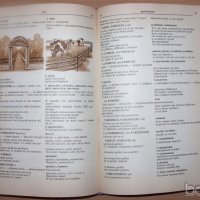 Френско-Руски речник с илюстрации, снимка 2 - Чуждоезиково обучение, речници - 23430581