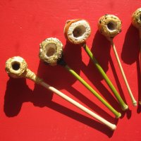 Царевична лула с мундщук от бамбук, лули, пушене, снимка 4 - Лули - 25341205