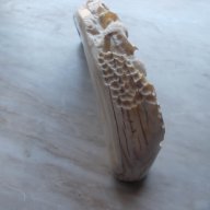 Слонова кост, снимка 8 - Антикварни и старинни предмети - 6902099