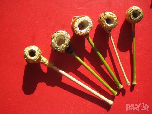 Царевична лула с мундщук от бамбук, лули, пушене, снимка 4 - Лули - 25341205