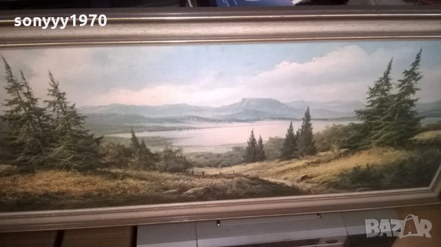 красива голяма картина-внос швеицария, снимка 6 - Колекции - 25522852