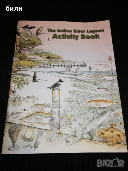The Indian River Lagoon Activity Book , снимка 1