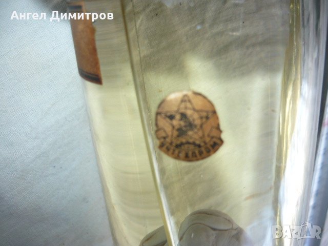 Соц. препарирано Попче риба във вода, снимка 3 - Антикварни и старинни предмети - 21880919