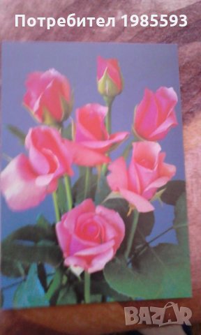 Ретро картички, снимка 18 - Други ценни предмети - 22963379