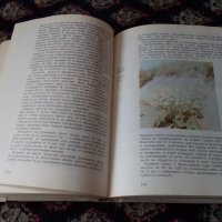 Книга Атлас по Ботаника, снимка 3 - Антикварни и старинни предмети - 22779481