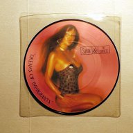 Vinyl-грамофонни плочи - MANFRED MANN / SANDii & THE SUNSETZ / GO GO'S - Picture Discs, снимка 3 - Грамофонни плочи - 16532730