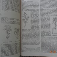 Голяма енциклопедия за растенията от А до Я, снимка 6 - Енциклопедии, справочници - 14108662