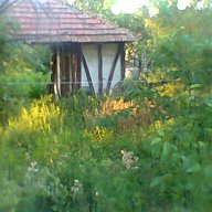 къща в с,Синаговци община Видин, снимка 2 - Къщи - 8671244