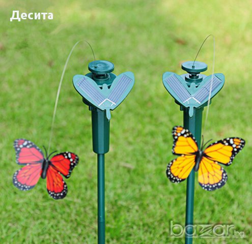 Соларни ПЕПЕРУДИ,КОЛИБРИ.Лалета-8лв/9лв/10лв, снимка 2 - Градински цветя и растения - 14365224