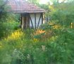 къща в с,Синаговци община Видин, снимка 2