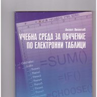 Учебна среда за обучение по електронни таблици Ангел Ангелов, снимка 1 - Учебници, учебни тетрадки - 10749641