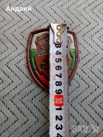 Стара военна емблема, снимка 2 - Антикварни и старинни предмети - 23809213