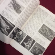 Зоология за 7 клас, снимка 3 - Специализирана литература - 9834244
