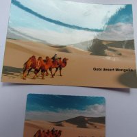 Сет магнит и пощенска картичка от Монголия-Гоби, снимка 1 - Колекции - 21689860