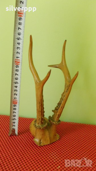  Трофейче - 5, снимка 1