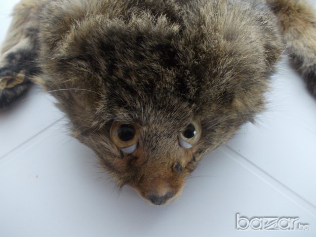 Красива пухкава яка от енот, снимка 5 - Шапки - 7357895