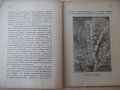 Книга "Чуднитѣ фонтани ( Гейзеритѣ) - С. Чукаловъ" - 48 стр., снимка 4