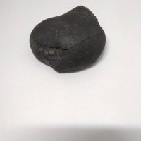 Шалиграм, снимка 3 - Антикварни и старинни предмети - 21516672