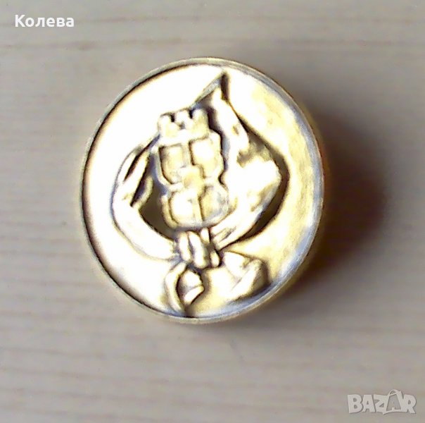 Значка и медал, снимка 1